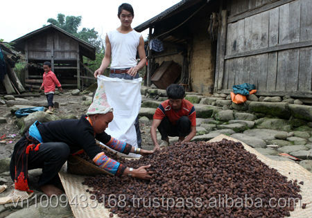 Black Cardamom