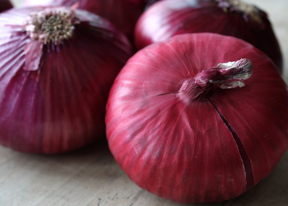Whole sale fresh red onions in bulk in Pakistan in high quality onion price ton types red onions lowest price fresh red onion