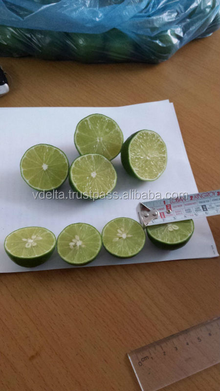 Fresh Green Lemon from a professional supplier