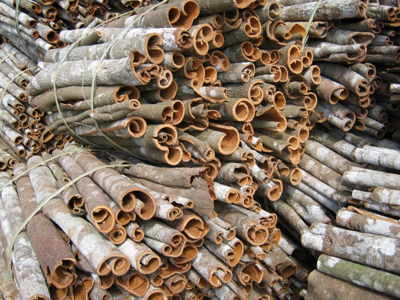 Vietnam broken cassia, split cassia, round cassia, square cut cinnamon