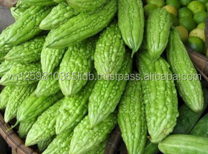 Bitter-Gourd-Pictures.jpg