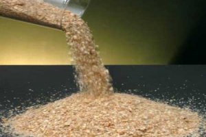 Soybean Meal - Animal feed