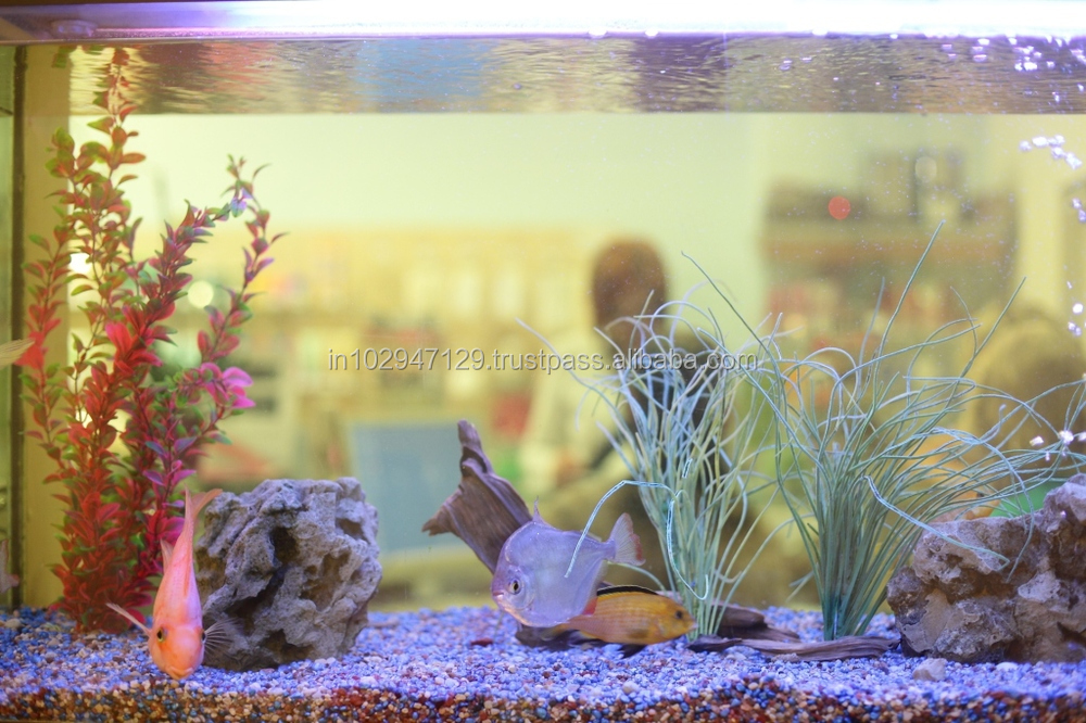 Bioclean Aquarium