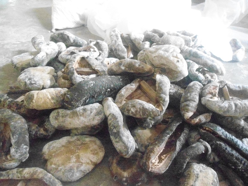 High Quality Dry Sea Cucumber products,South Africa High Quality Dry