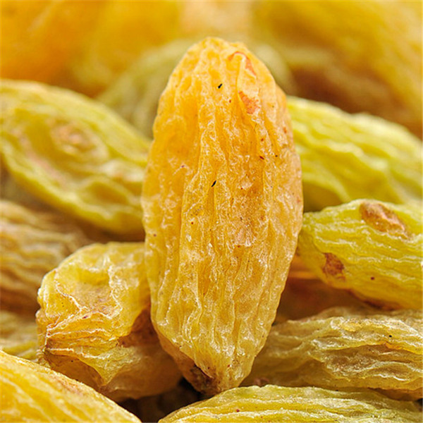 TTN 2014 ALL TYPES OF DRIED GOLDEN RAISINS PRICE FOR IMPORTERS