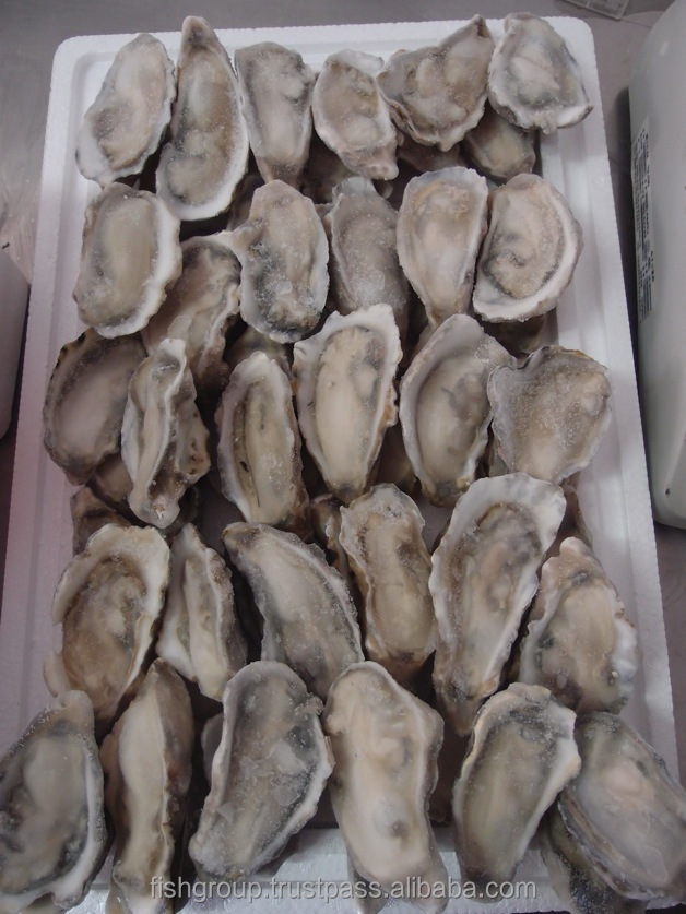 Frozen Raw Oyster Halfshell Buy Oyster Halfshell,Frozen Oyster