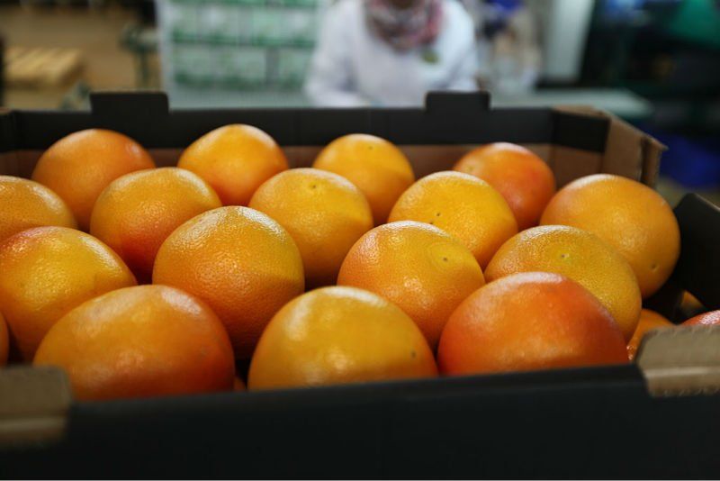 Fresh Tangerines, Oranges, Limes, Lemons