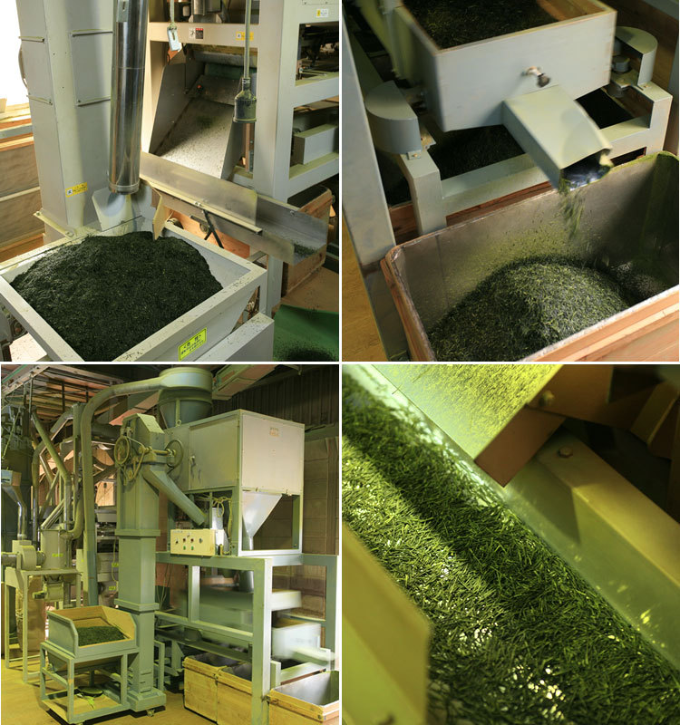 matcha006