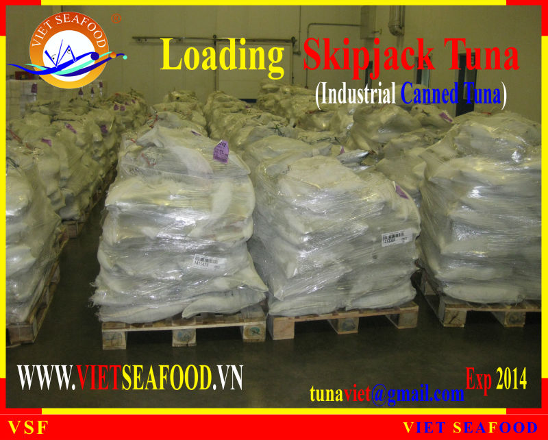 LOADING FROZEN SKIPJACK TUNA