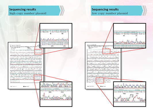 Genenmed plasmid kit (spin column type)