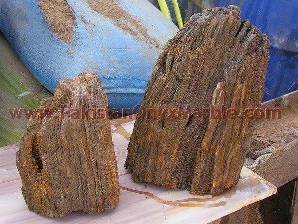 petrified-wood-rough-06.jpg