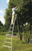 オリーブの収穫のツール長谷川三脚アルミラダー日本製高品質のはしごキャスト用の木製スラットベンチプレス問屋・仕入れ・卸・卸売り