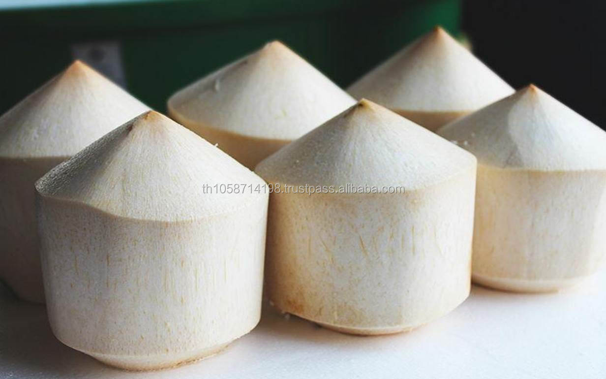 Fresh Young Coconuts from Thailand,Thailand Clearnergy price supplier