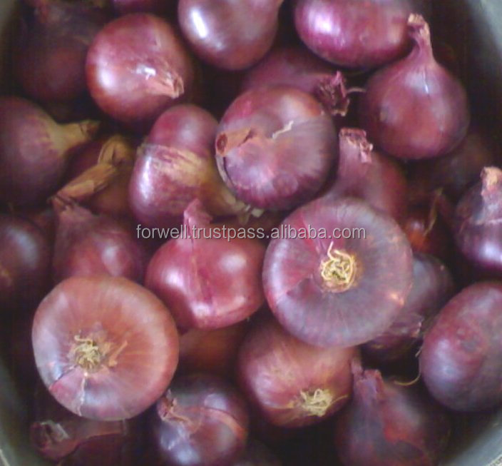 Fresh Onion ( Red - Yellow - White ) crops 2014