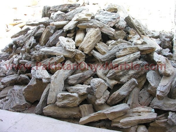petrified-wood-rough-01.jpg