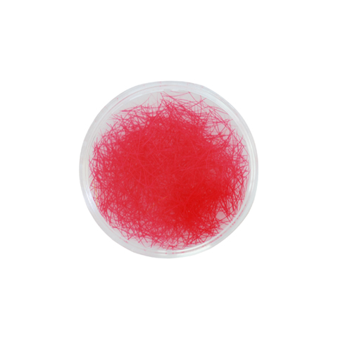 CL3-pink.jpg