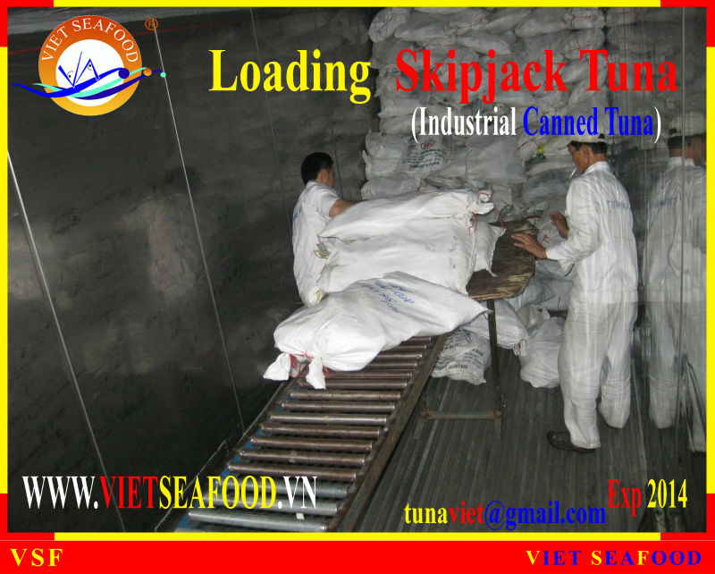 LOADING SKIPJACK TUNA
