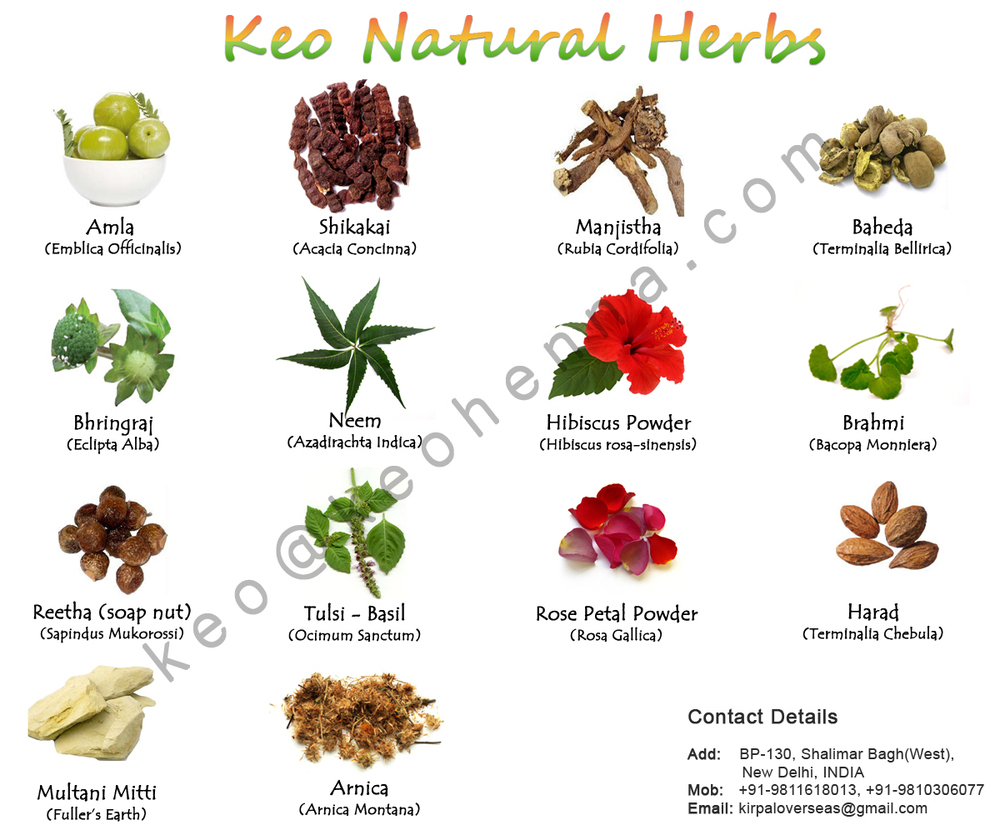Herbal Extracts,Indian Medicinal Herbs - Buy Herbal Herbal Extracts,Indian Medicinal Herbs - Buy Herbal