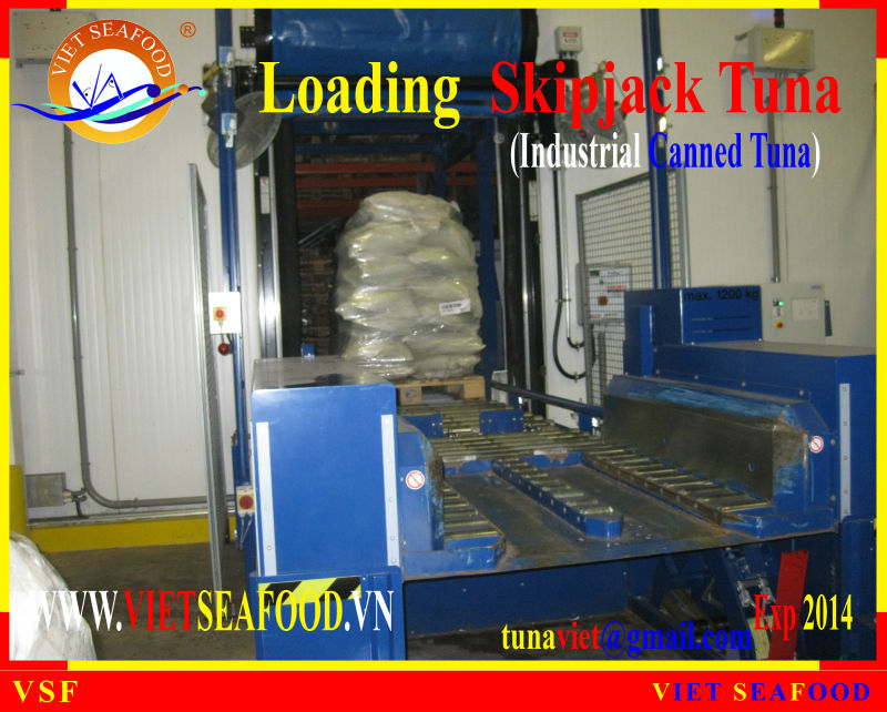 LOADING FROZEN SKIPJACK TUNA W/R