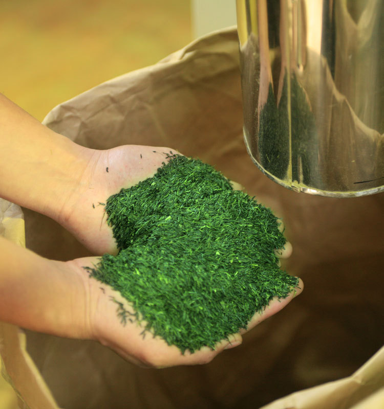 matcha008