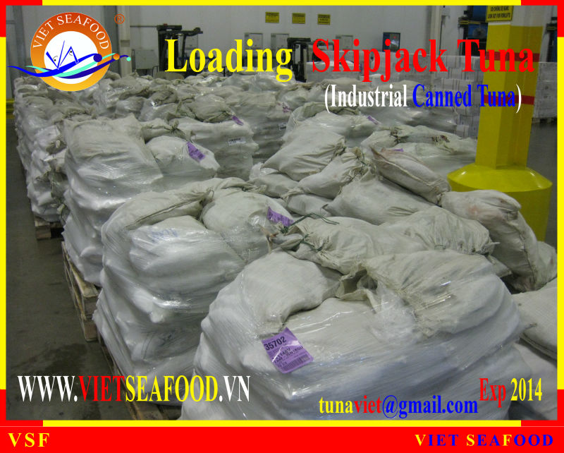 LOADING FROZEN SKIPJACK TUNA