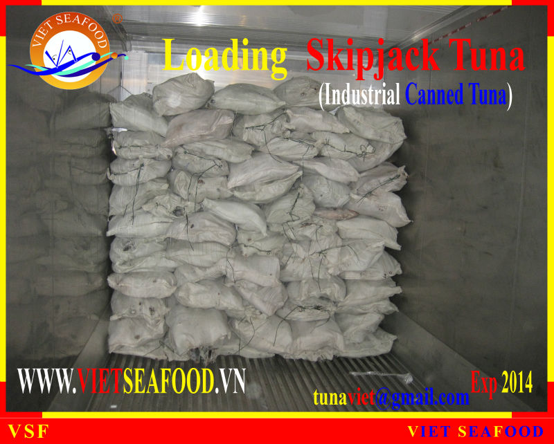 LOADING FROZEN SKIPJACK TUNA W/R