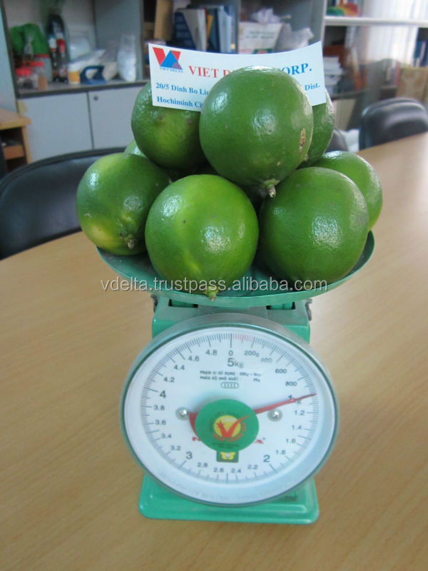 Fresh Lime (Seedless)_Competitive price