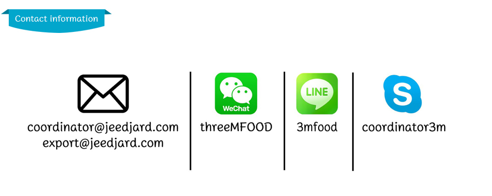 contact information