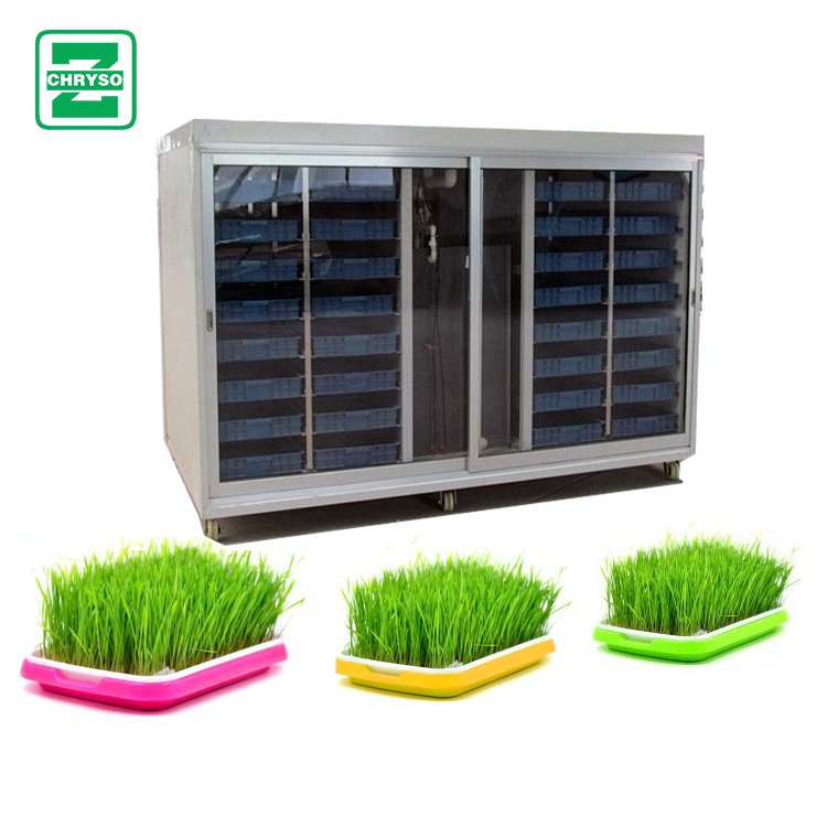 Top Sale Commercial Sprout Equipment Sprouting Seeds Sprouer Buy Commercial Sprout Equipment