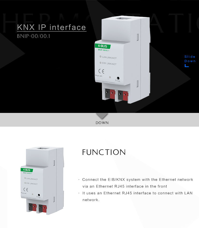 IP Interface.jpg