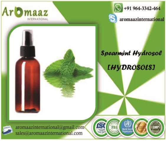 spearmint hydro.png