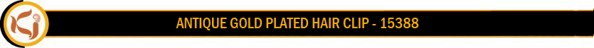 15388_GOLD.jpg
