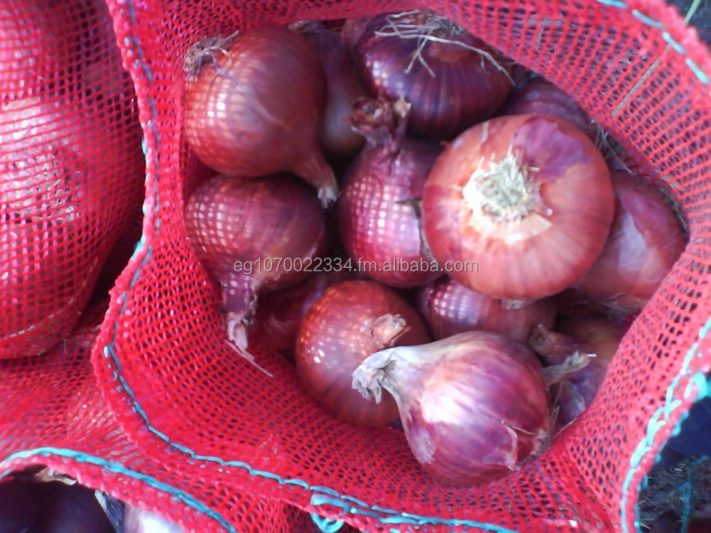 Onion Price For Sri Lanka Buy Red Onions,Onions In Bulk,Yellow Onion