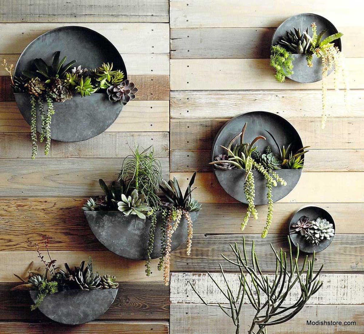 Circle Hanging Planters.jpg