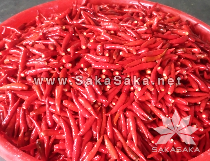 red-chili.jpg